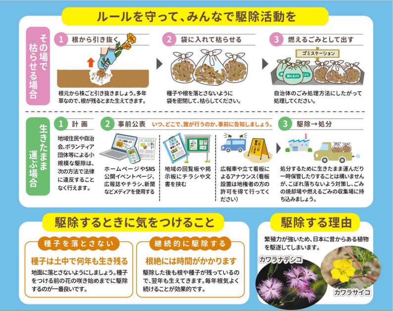 駆除方法
