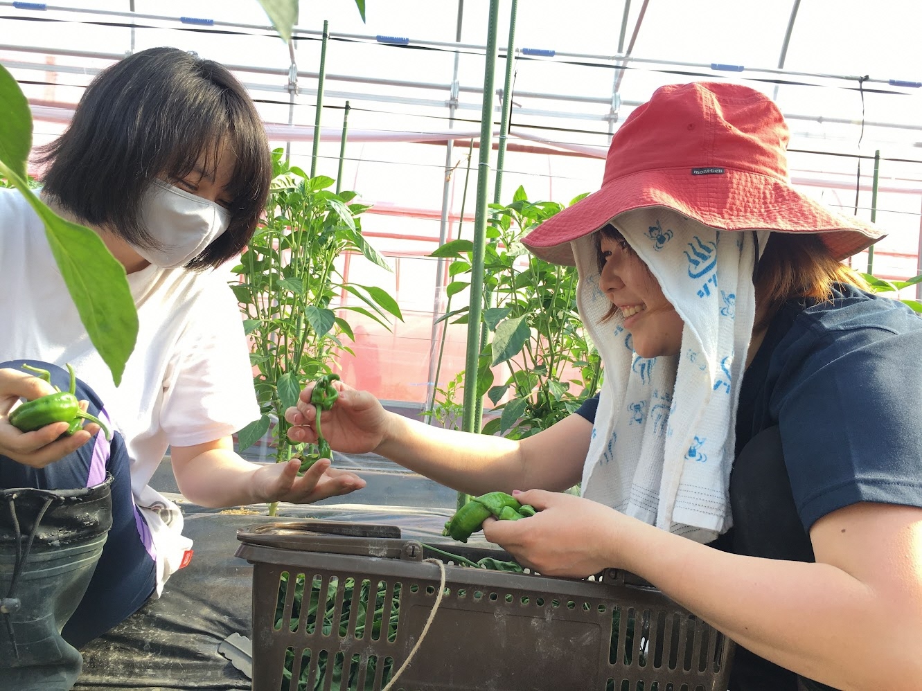 みんなのサッカー広場の写真1