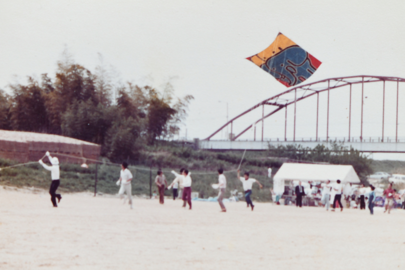 山城大橋の河川敷広場でのたこ揚げ大会の写真