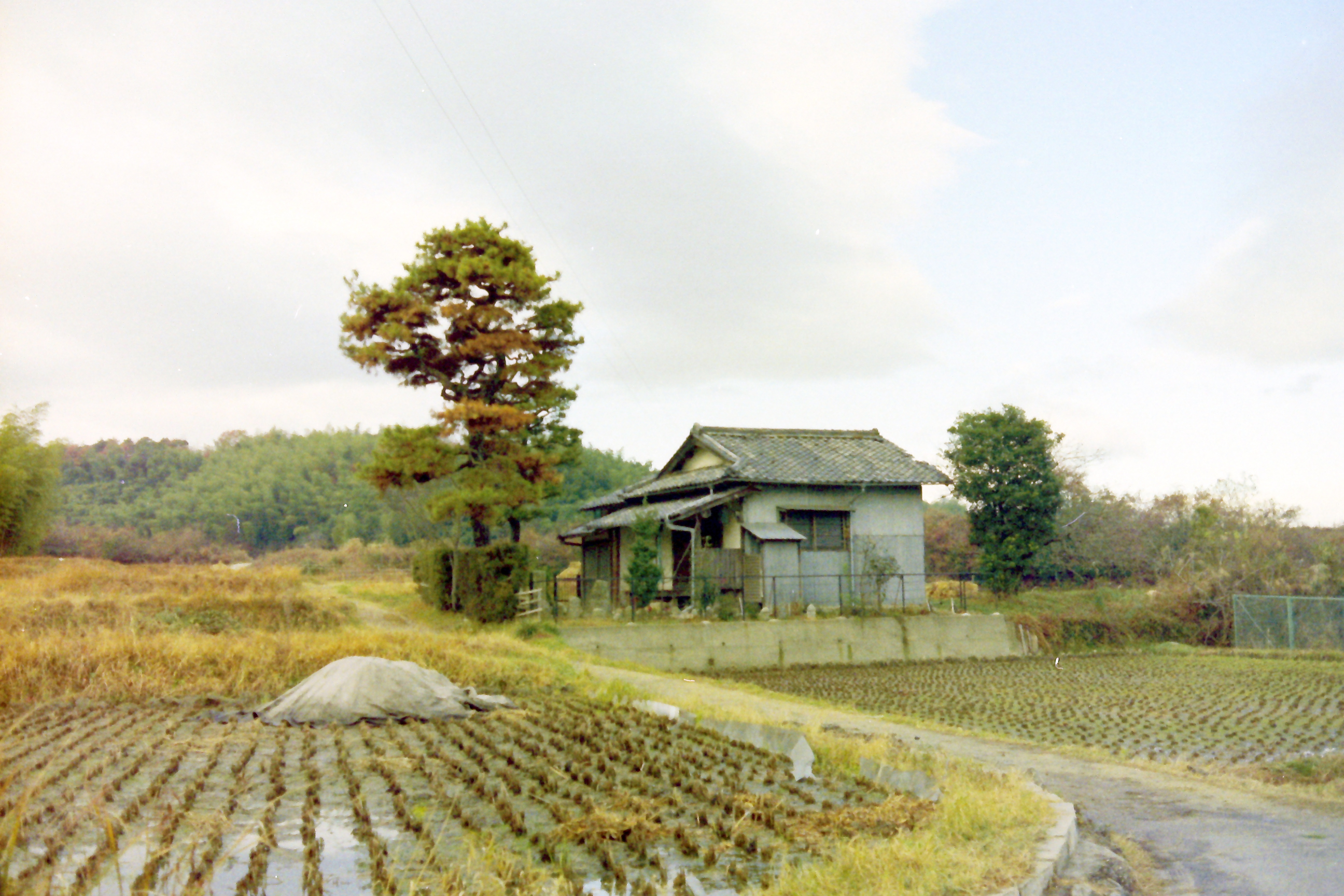 昔の薬師堂の写真